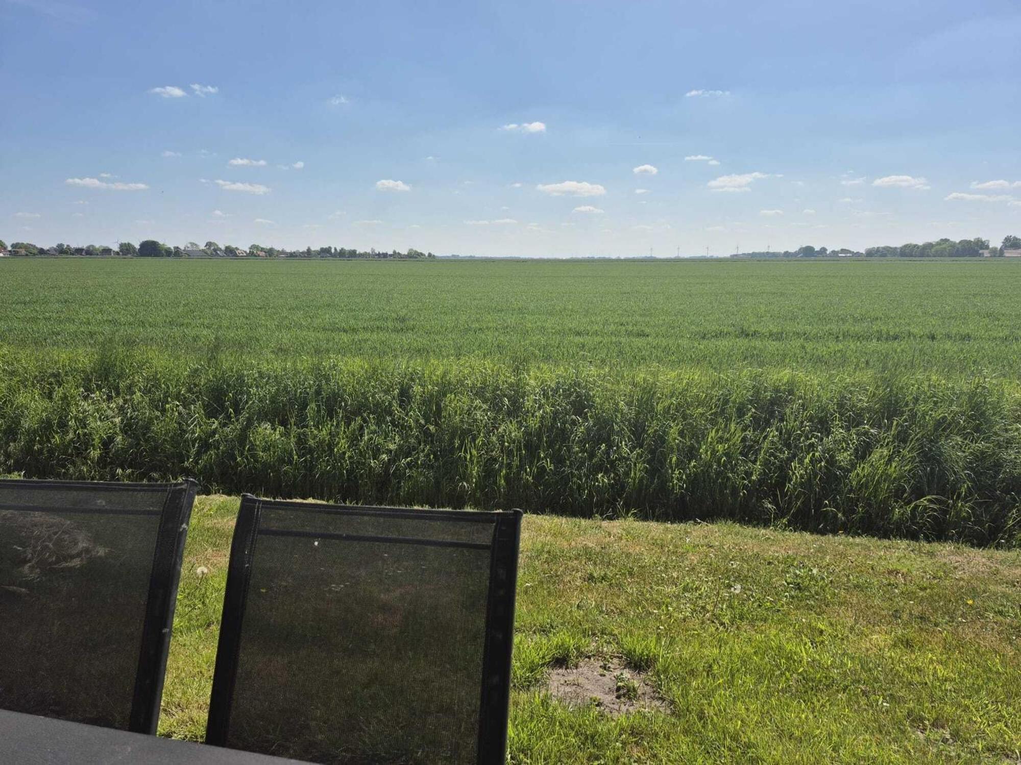 Ferienhaeuser Freiblick Ditzumerverlaat Exteriör bild